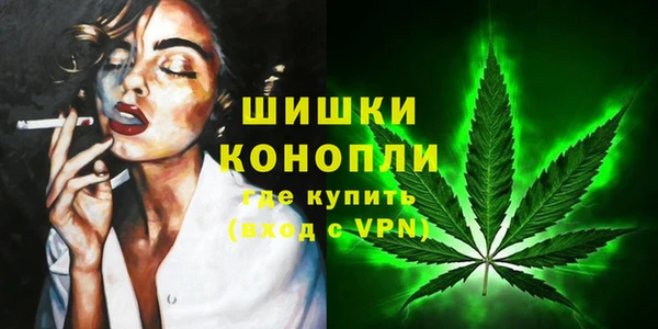 ГАЛЛЮЦИНОГЕННЫЕ ГРИБЫ Абаза