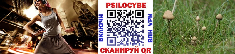 Галлюциногенные грибы Psilocybine cubensis  Партизанск 