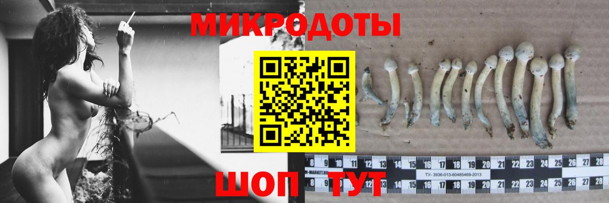 Партизанск  Галлюциногенные грибы Magic Shrooms  Вход с VPN  Галлюциногенные грибы Psilocybe 